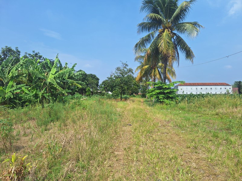 Kavling Strategis Luas 43.000 M2 / 4.3 Hektar Lokasi di Parakan Jaya Kemang Bogor Jawa Barat