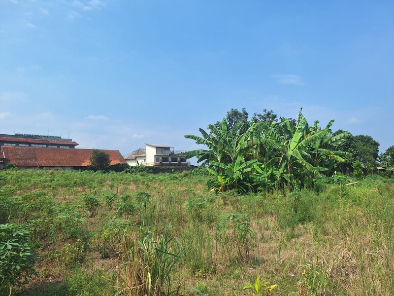 Kavling Strategis Luas 43.000 M2 / 4.3 Hektar Lokasi di Parakan Jaya Kemang Bogor Jawa Barat