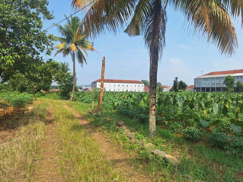 Kavling Strategis Luas 43.000 M2 / 4.3 Hektar Lokasi di Parakan Jaya Kemang Bogor Jawa Barat