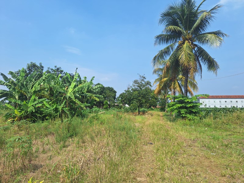 Kavling Strategis Luas 43.000 M2 / 4.3 Hektar Lokasi di Parakan Jaya Kemang Bogor Jawa Barat