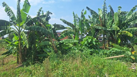 Kavling Strategis Luas 43.000 M2 / 4.3 Hektar Lokasi di Parakan Jaya Kemang Bogor Jawa Barat