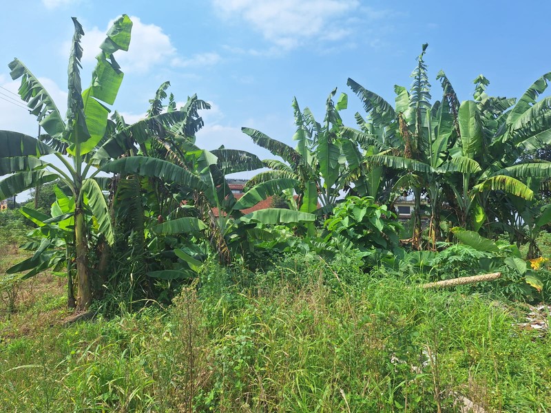 Kavling Strategis Luas 43.000 M2 / 4.3 Hektar Lokasi di Parakan Jaya Kemang Bogor Jawa Barat