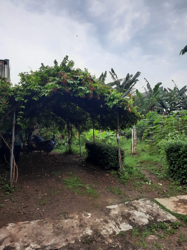 Tanah 600 m&#xb2; Dalam Komplek Cinere - Harga NJOP