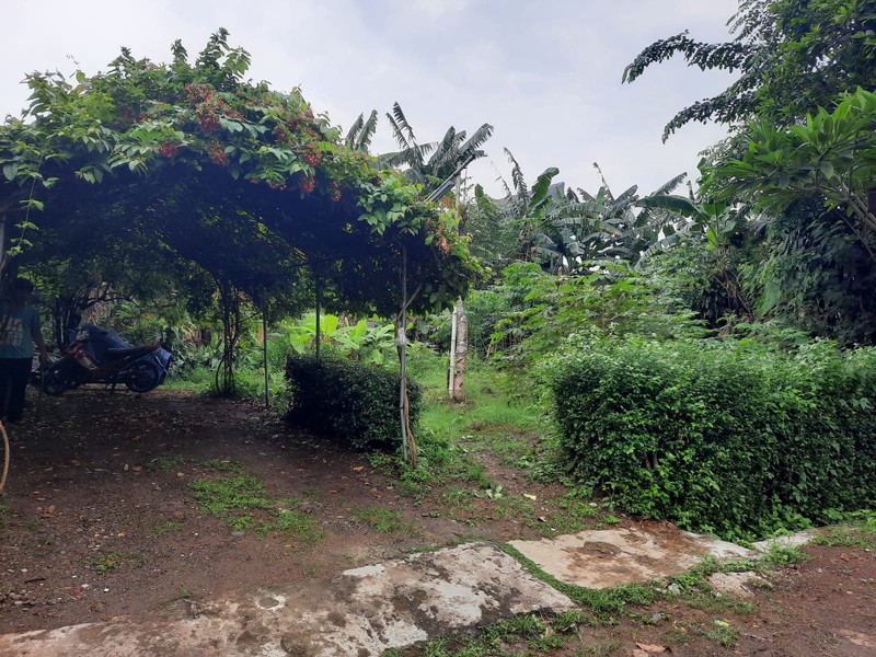 Tanah 600 m&#xb2; Dalam Komplek Cinere - Harga NJOP