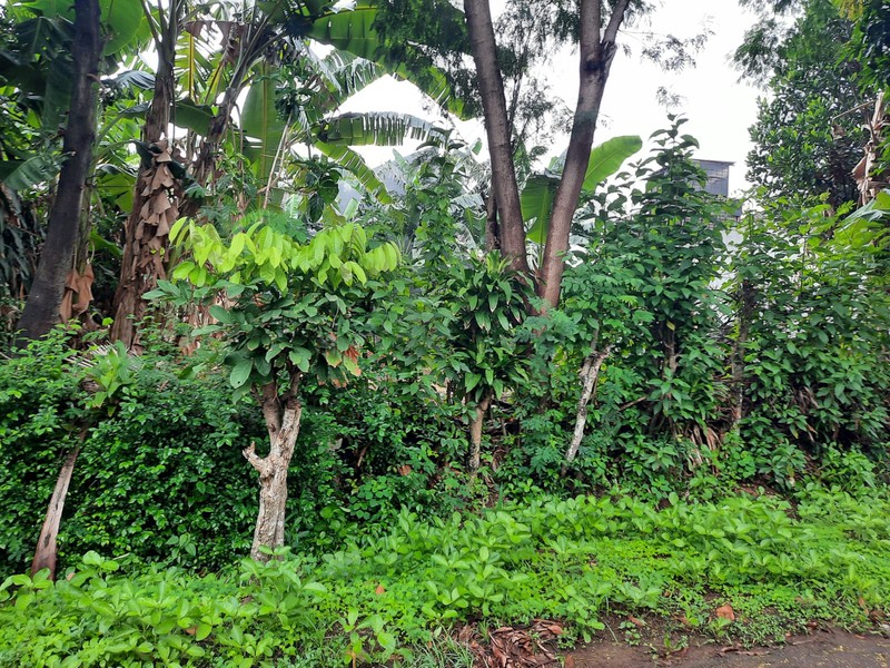 Tanah 600 m&#xb2; Dalam Komplek Cinere - Harga NJOP