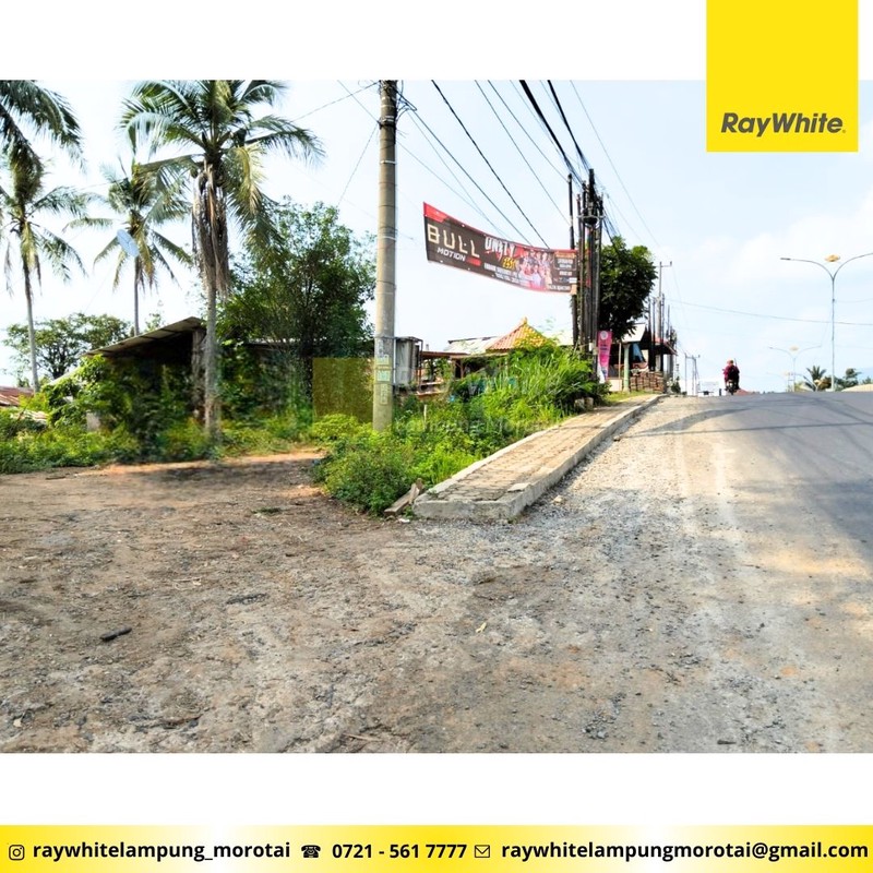 Dijual Tanah Pinggir Jl. Pramuka Rajabasa Rp. 4,5 Juta/ Meter Nego Dekat Universitas Malahayati