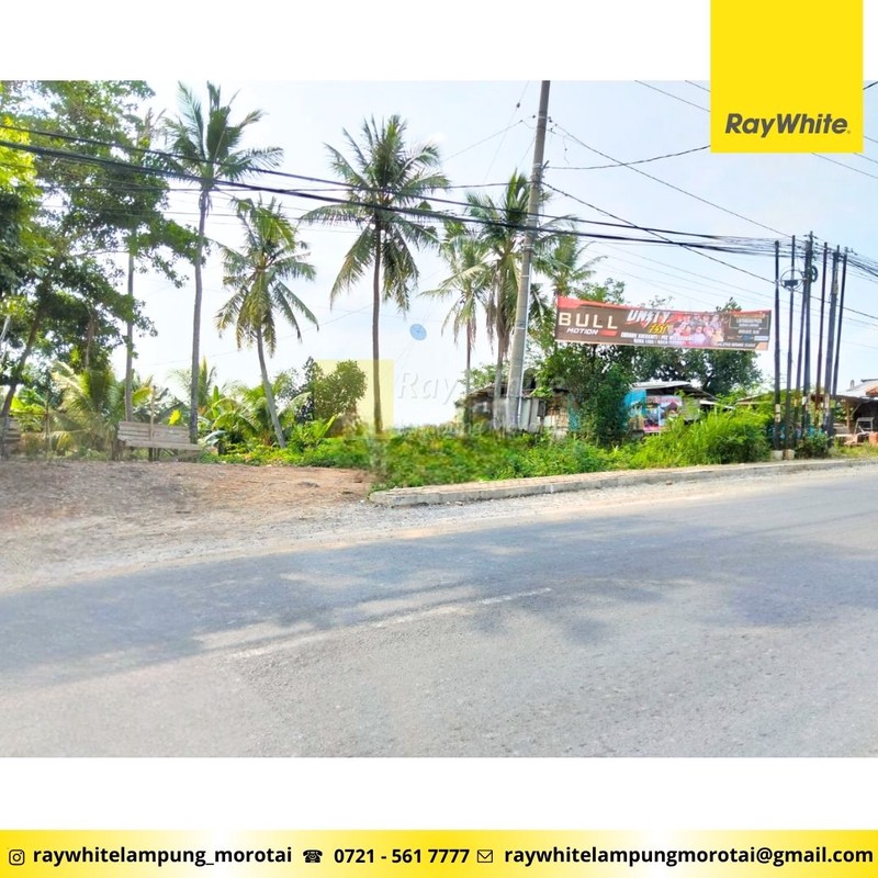 Dijual Tanah Pinggir Jl. Pramuka Rajabasa Rp. 4,5 Juta/ Meter Nego Dekat Universitas Malahayati