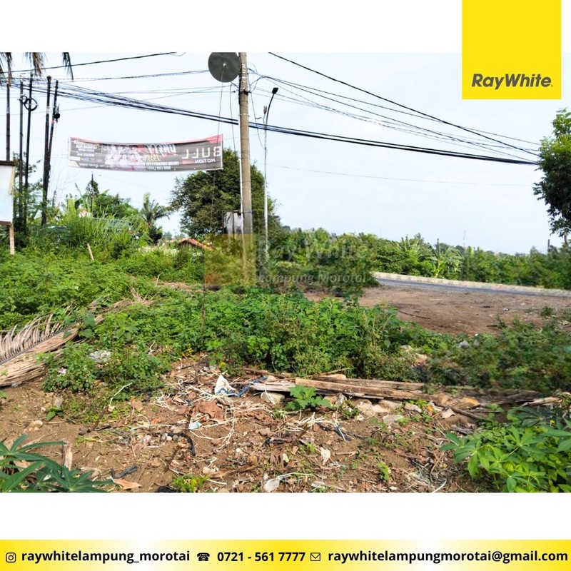 Dijual Tanah Pinggir Jl. Pramuka Rajabasa Rp. 4,5 Juta/ Meter Nego Dekat Universitas Malahayati