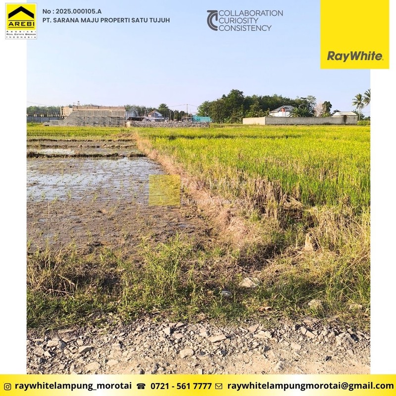 Tanah pinggir Jalan Raya Jalur 2 ITERA