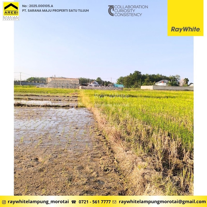 Tanah pinggir Jalan Raya Jalur 2 ITERA