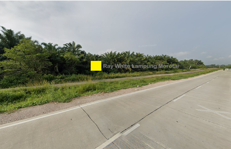 Dijual tanah dekat Tol Kota Baru Jl. Terusan Ryacudu Lampung Selatan Rp. 1,5 Juta/Meter Nego