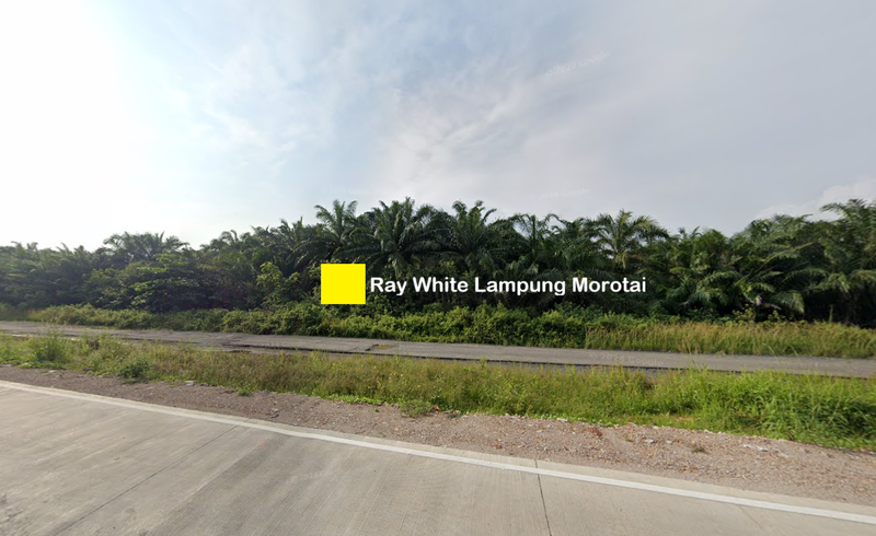 Dijual tanah dekat Tol Kota Baru Jl. Terusan Ryacudu Lampung Selatan Rp. 1,5 Juta/Meter Nego