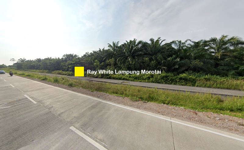 Dijual tanah dekat Tol Kota Baru Jl. Terusan Ryacudu Lampung Selatan Rp. 1,5 Juta/Meter Nego