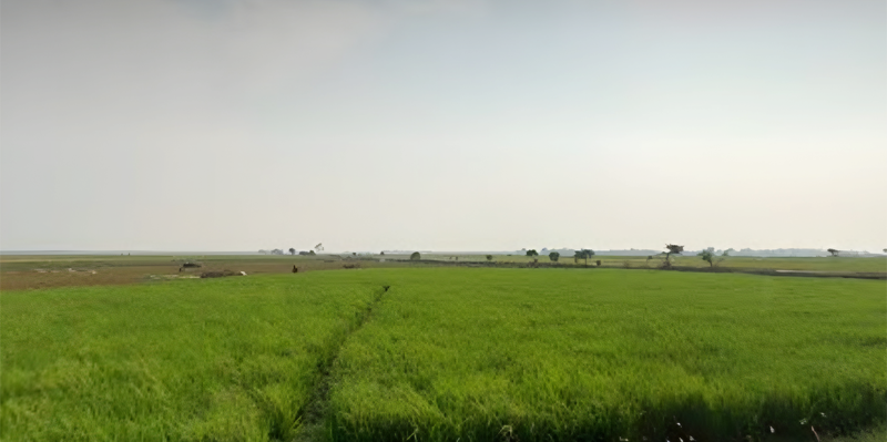 Tanah Luas di Tangkolak Karawang, dekat Cilamaya Rengasdengklok