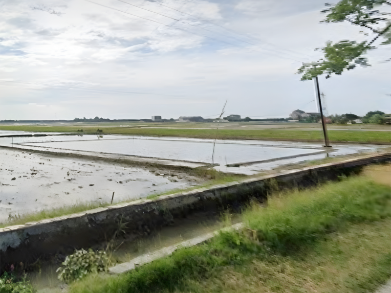 Tanah Luas di Tangkolak Karawang, dekat Cilamaya Rengasdengklok