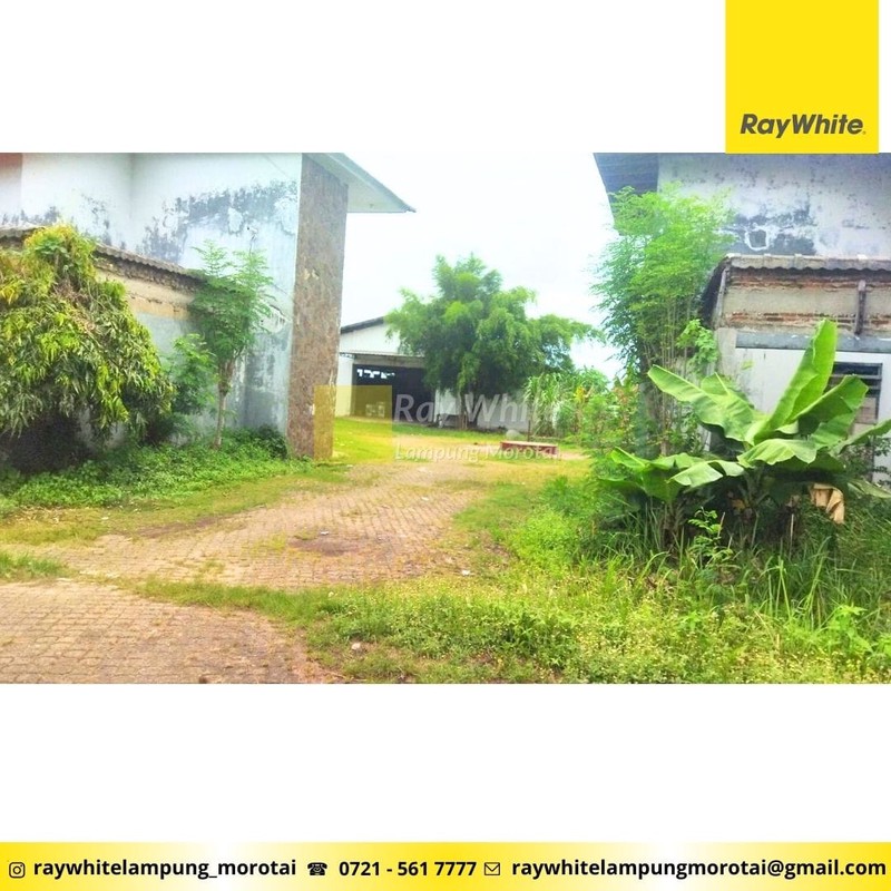 di jual tanahdan bangunan