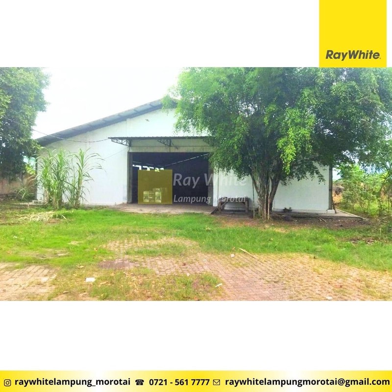 di jual tanahdan bangunan