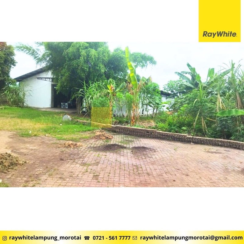 di jual tanahdan bangunan