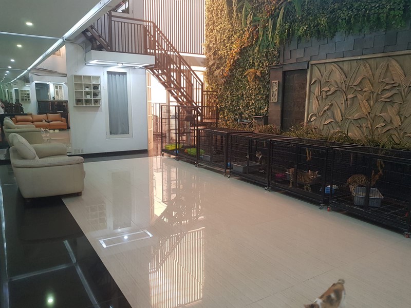 For Rent. Rumah mewah Nusa Loka, BSD