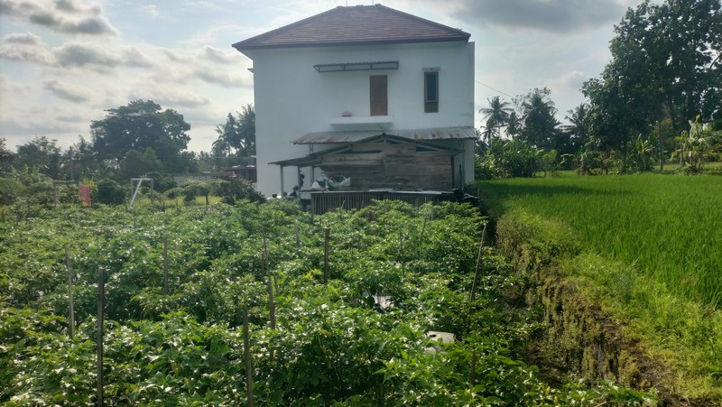 Tanah Bonus Bangunan Kost Lokasi Strategis Dekat Kampus UII - Pakem Sleman 