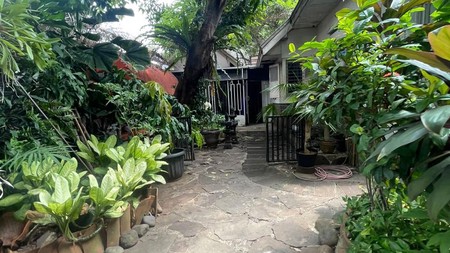 Rumah Hunian Asri Di Daerah Menteng, Jakarta Pusat