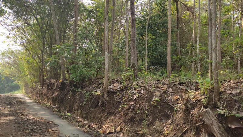 Investasi Tanah 103 Meter Persegi, Lokasi Dekat Jiwajawi Jogjakarta