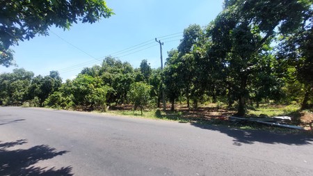 Tanah Dijual di Pasuruan Jawa Timur Luas 2005m&#xb2; SHM