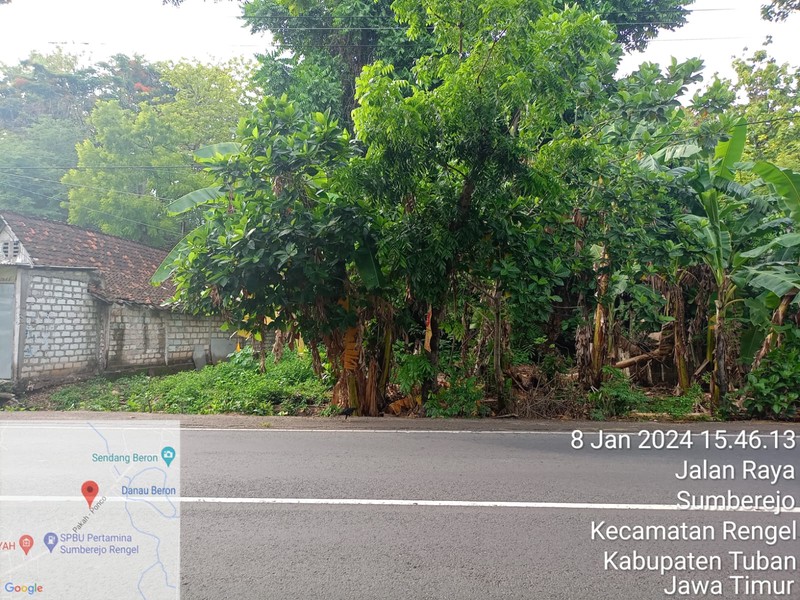 Tanah Dijual di Tuban Jawa Timur Luas 513m SHM