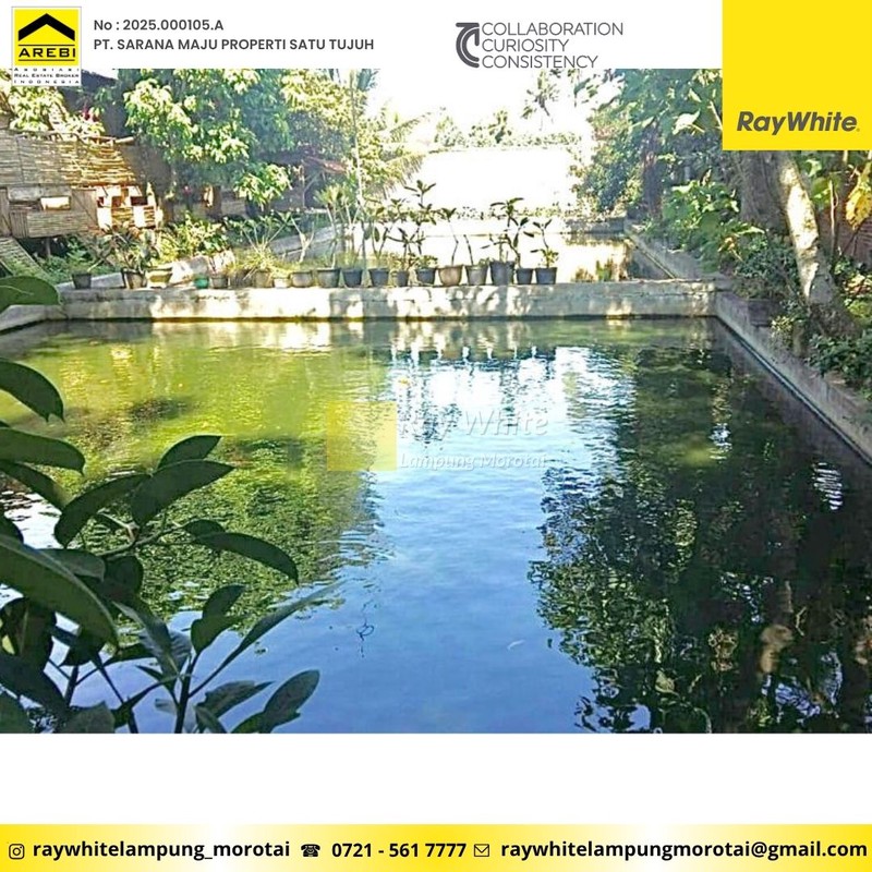 Ruko Dijual atau disewakan