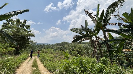 Lahan 2.9 Hektar di Sodong Ligarmukti Cileungsi