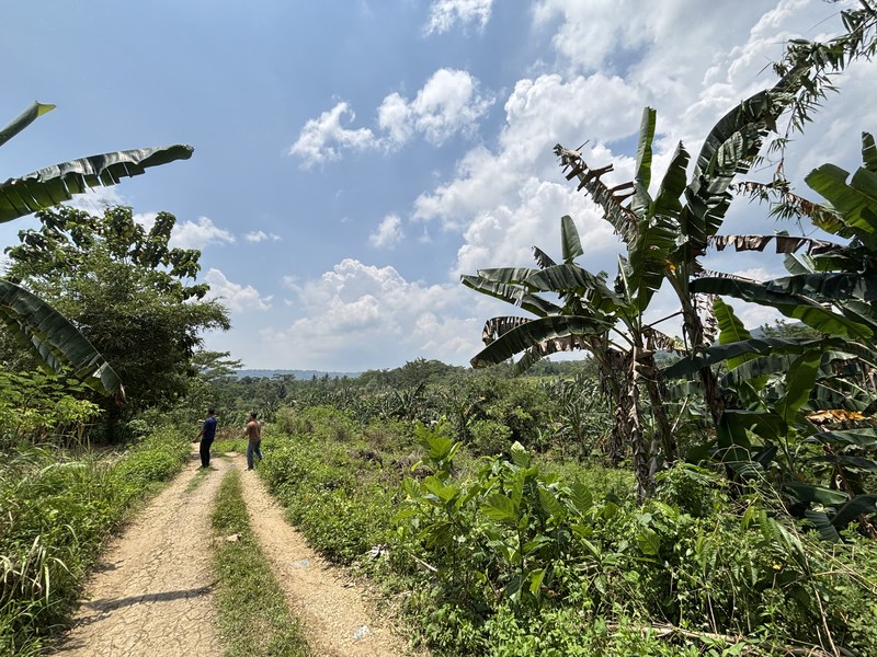 Lahan 2.9 Hektar di Sodong Ligarmukti Cileungsi