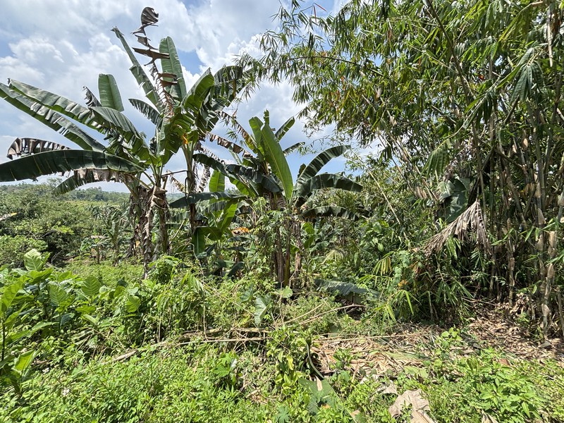 Lahan 2.9 Hektar di Sodong Ligarmukti Cileungsi