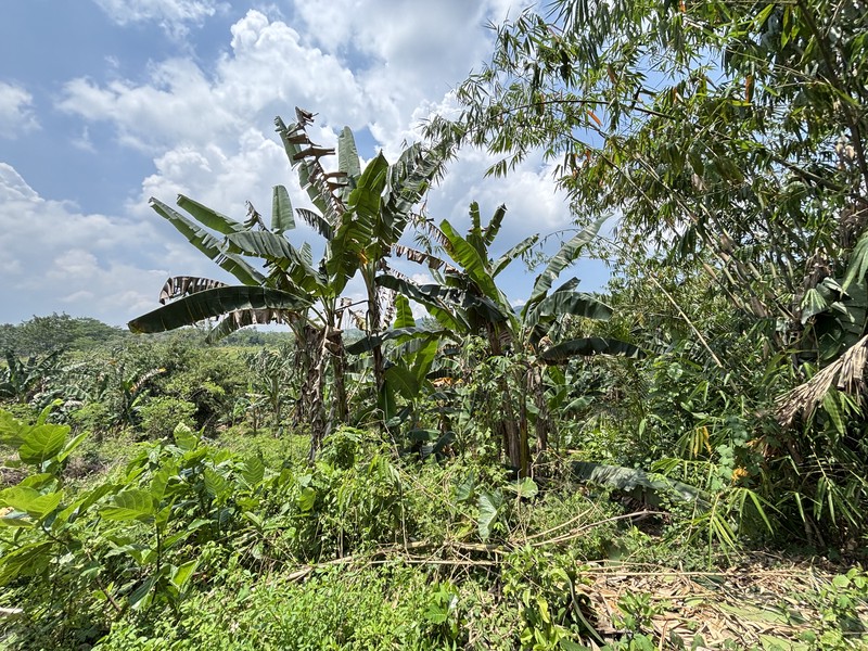 Lahan 2.9 Hektar di Sodong Ligarmukti Cileungsi