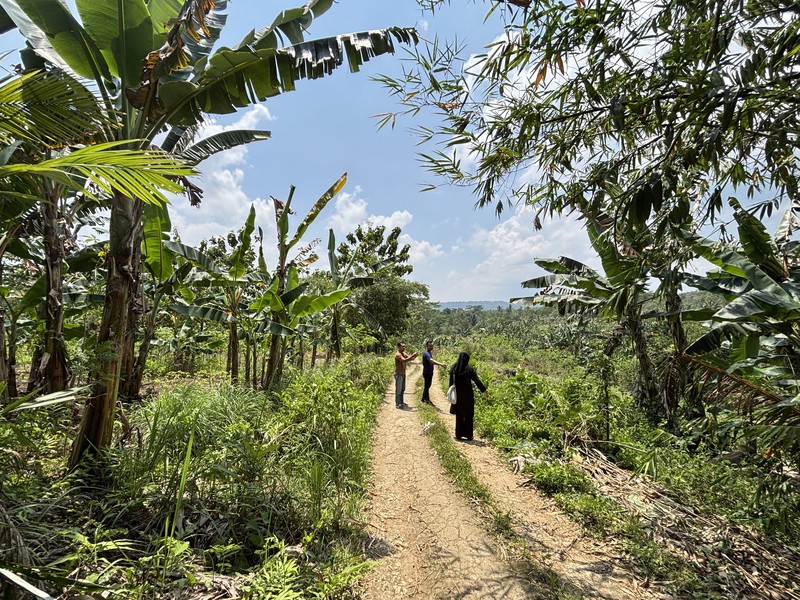 Lahan 2.9 Hektar di Sodong Ligarmukti Cileungsi