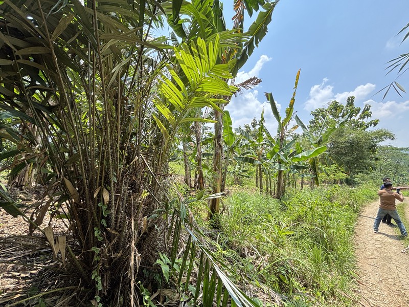 Lahan 2.9 Hektar di Sodong Ligarmukti Cileungsi