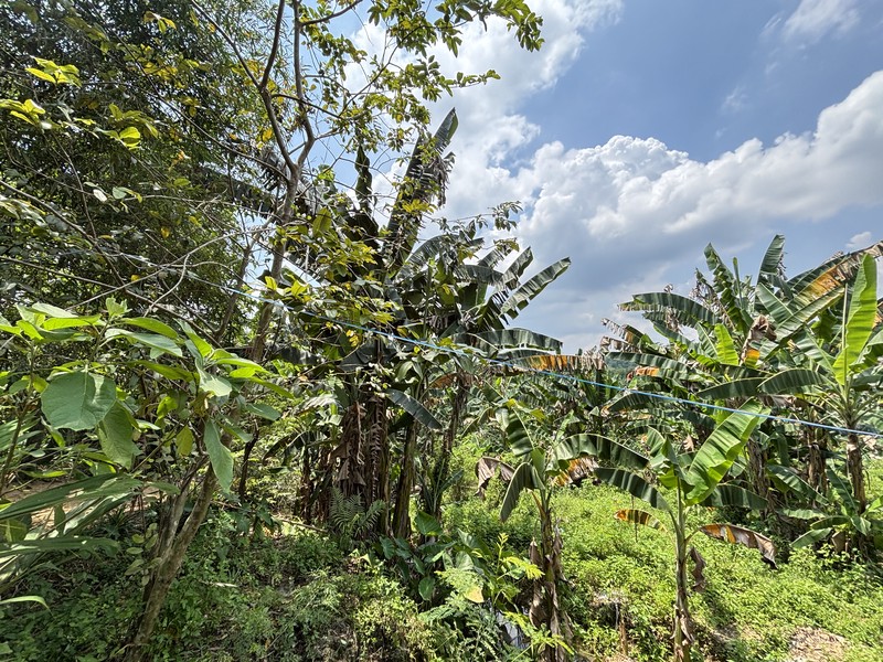 Lahan 2.9 Hektar di Sodong Ligarmukti Cileungsi