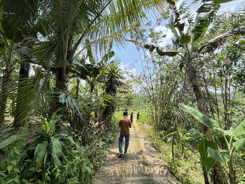 Lahan 2.9 Hektar di Sodong Ligarmukti Cileungsi