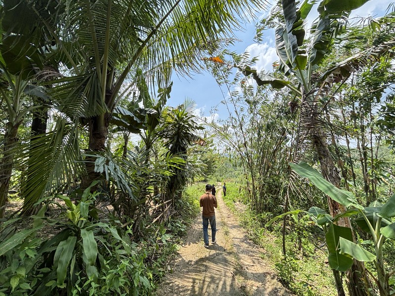 Lahan 2.9 Hektar di Sodong Ligarmukti Cileungsi
