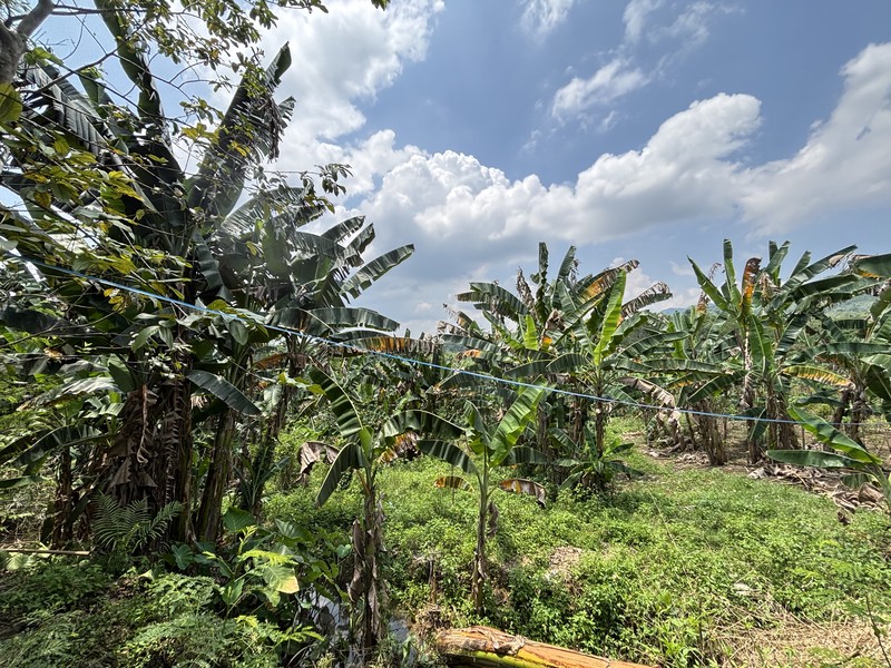 Lahan 2.9 Hektar di Sodong Ligarmukti Cileungsi