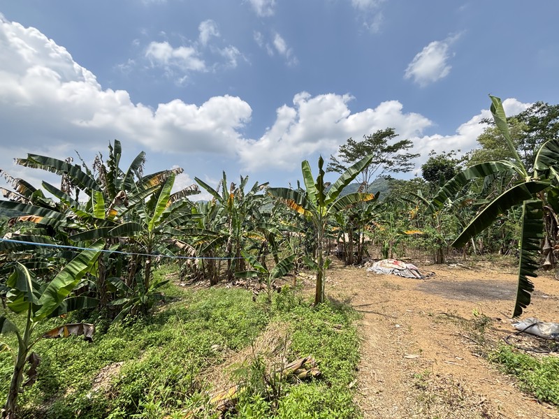 Lahan 2.9 Hektar di Sodong Ligarmukti Cileungsi