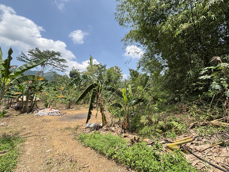 Lahan 2.9 Hektar di Sodong Ligarmukti Cileungsi