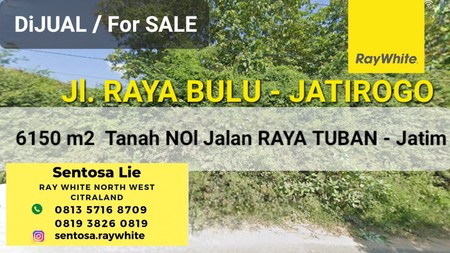 Dijual 6150 m2 Tanah Tuban JATIM di Nol Jalan Raya Bulu - Jatirogo - Sukolilo - Bancar - Kab. Tuban - Jawa Timur - Surat SHM - Lokasi Bagus Tanah Tambang Pasir Silica / Batako Cocok Untuk Usaha Tamban