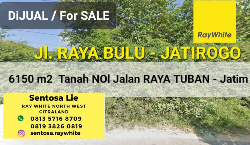 Dijual 6150 m2 Tanah Tuban JATIM di Nol Jalan Raya Bulu - Jatirogo - Sukolilo - Bancar - Kab. Tuban - Jawa Timur - Surat SHM - Lokasi Bagus Tanah Tambang Pasir Silica / Batako Cocok Untuk Usaha Tamban