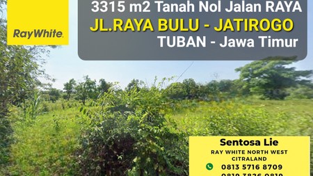 Dijual 3315 m2 Tanah Tuban JATIM di Nol Jalan Raya Bulu - Jatirogo - Sukolilo - Bancar - Kab. Tuban - Jawa Timur - Surat SHM - Lokasi Bagus Tanah Tambang Pasir Silica / Batako Cocok Untuk Usaha Tamban
