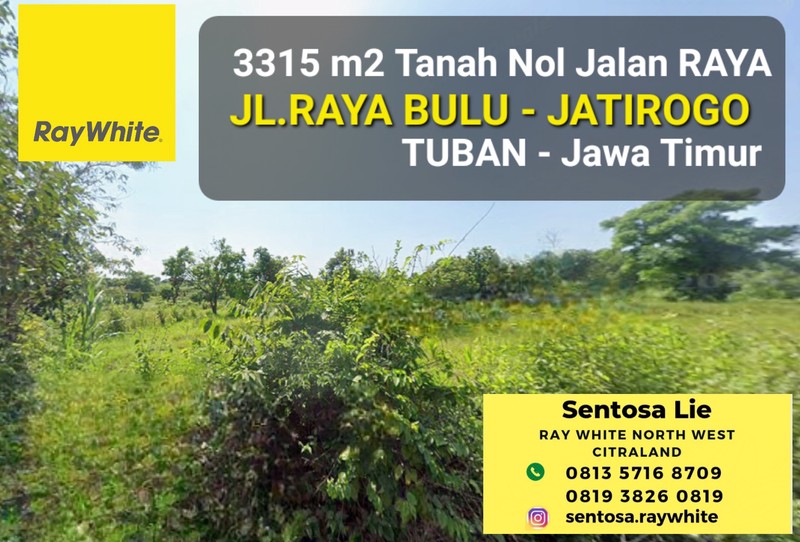 Dijual 3315 m2 Tanah Tuban JATIM di Nol Jalan Raya Bulu - Jatirogo - Sukolilo - Bancar - Kab. Tuban - Jawa Timur - Surat SHM - Lokasi Bagus Tanah Tambang Pasir Silica / Batako Cocok Untuk Usaha Tamban