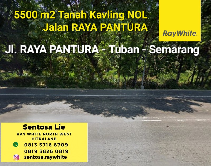 Dijual 5500 m2 Tanah Nol Jalan Raya Pantura Tuban - Semarang - Strategis Lokasi Cocok Buat Segala Usaha , SPBU dll