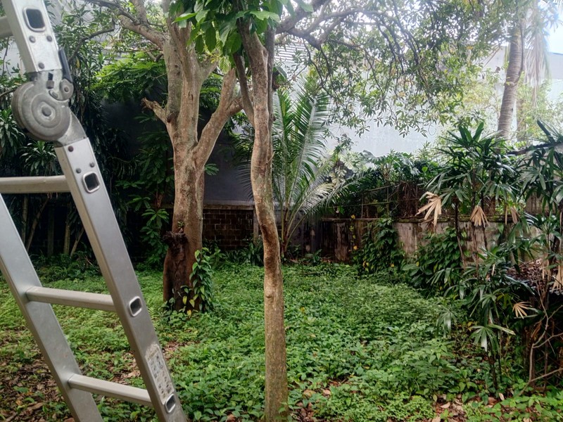 HUNIAN ASRI DAN NYAMAN SERTA LUAS DI PANGKALAN JATI, CINERE,  DEPOK