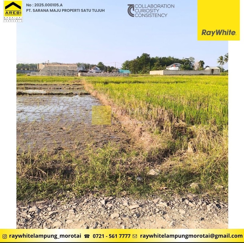 Tanah Dijual Jati Mulyo