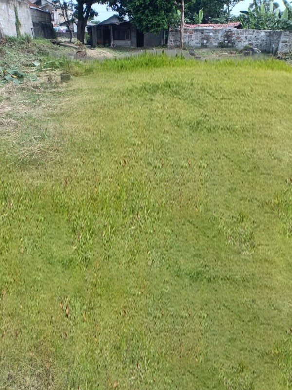 Kavling Luas Strategis 3.455 M2 di Suka Bakti, Ciputat