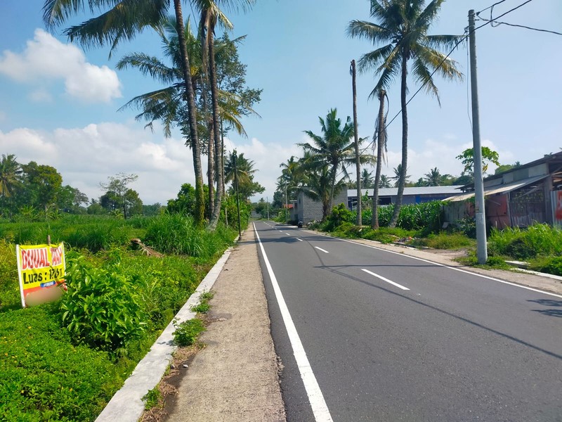 Dijual Tanah 1705 Meter Persegi Cocok Untuk Cluster/Investasi, Umbulmartani, Ngemplak, Sleman